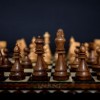 (下载单机象棋免费官方)免费下载单机象棋永久版，挑战您的智慧和策略！
