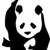 太极熊猫2：英雄归来，新篇章探秘，创意无限，笑中带泪的魔幻之旅
