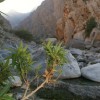 (锦绣山河风景)锦绣山河：充满美丽而壮丽的山脉和河流的景观