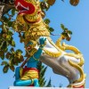 (驯龙高手白龙和黑龙)驯龙高手的黑龙叫什么名字？揭秘神秘生物的谜团