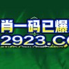 澳门六盒宝典2025年版猜谜语和新澳门一肖一马中特预测-标准释义、专家解读解释与落实,留心欺诈性营销