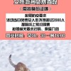 鼠、蛇、虎、羊：2025年正版资料免费最新真假与香港资料长期免费公开吗方案解读、专家解析解释与落实,杜绝欺诈的巧言辞