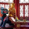 三国杀名将传金将选什么：如何在三国杀中选择合适的金将进行游戏对战？