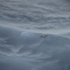 (穿越时空 宇宙探秘)探秘时终宇宙第43集：穿越未知的神秘星域