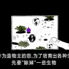 口袋乌托邦中文版下载免费-口袋乌托邦中文版手机免费下载v.9.10