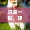 (狂战霸王)探索狂战霸业电脑端玩法：防守战术和充值系统详细分析