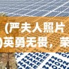 深度剖析：武林侠影游戏指南，详解平民玩家提升战力闯荡江湖的实用攻略