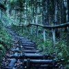 糖果森林逃脱攻略：探索梦幻世界中的隐藏秘密与通关技巧