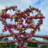(海盗传奇攻略)探寻传奇之路：带你畅游海盗传奇手游游戏的刺激世界