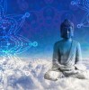 (楚月禅逆天邪神)逆天邪神之萧狂云: 楚月婵，独步仙界的妖孽神话