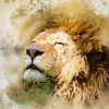 (猫和汤游戏)猫咪和汤国际版：探寻全球各地的猫咪文化和美味汤料理