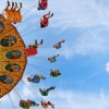 2024年澳门天天彩免费大全|定性分析解释落实_奢侈款.8.291
