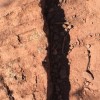 (地球7级文明)探索人类未来命运：揭秘地球七级文明的兴衰征兆
