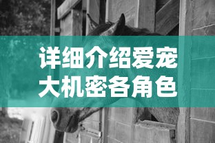 详细介绍爱宠大机密各角色的个性特征与精彩表现，揭秘影片中的宠物世界