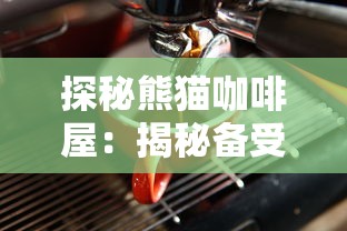 探秘熊猫咖啡屋：揭秘备受欢迎的特色饮品配方及其独特的制作工艺