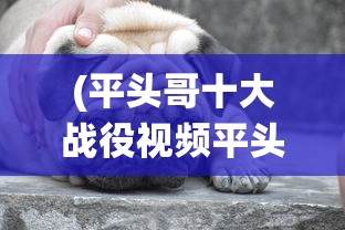 (平头哥十大战役视频平头哥大战)详解平头哥大作战攻略：精心解密关卡攻击技巧与角色升级策略