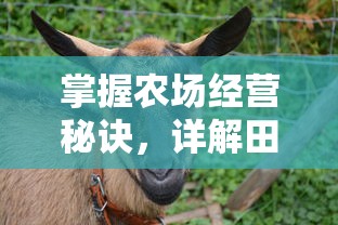 掌握农场经营秘诀，详解田园物语手游攻略：农作物种植与畜牧养殖全攻略