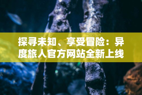 重磅！备受玩家喜爱的策略手游天天怼三国正式改名，新名引发各方热议