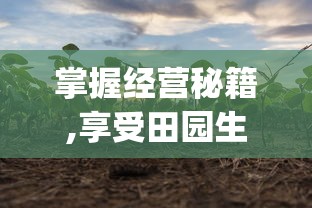 像素危城官方中文版闪亮登场：细致刻画像素世界，展现未知冒险之旅