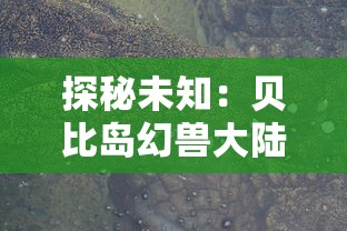 探秘未知：贝比岛幻兽大陆的生态环境及其对幻兽种群分布的影响研究