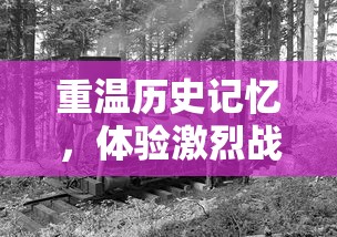 深度解析小浣熊神兵列传升级秘籍:揭秘升级半圣的关键步骤和必备技能