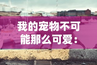 针对新手玩家的全方位攻略：如何快速掌握并玩转小小夜市游戏中的商业策略和交易技巧?