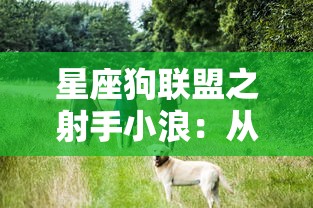 (良田农业科技有限公司)探寻农业革新之路：这城有良田交易平台，诠释现代农业新格局