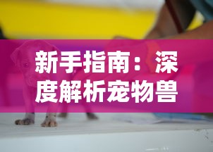 在沉默中寻找情感连结：揭秘哑巴通房11h的爱情观与人性独特观察力