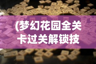 (冒险佣兵团2无限钻石)冒险佣兵团50级有隐藏内容嘛？深度揭秘游戏中隐藏的秘密与彩蛋