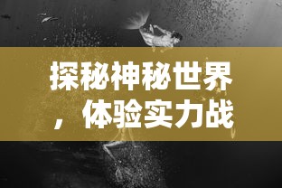 详细教程：新星漂移游戏中如何根据个人操作习惯自定义键位设置