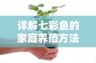 详解七彩鱼的家庭养殖方法及注意事项：如何选择饲料与环境，保证鱼儿健康成长