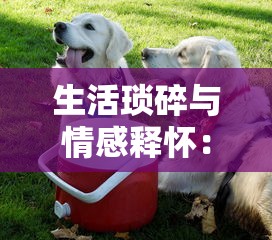 (泰坦t3王座怎么样)泰坦王座手机版：独特的PVP系统让你体验不一样的角色扮演游戏