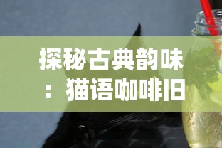 (把你的钱给我原唱)把你的钱给我把你的车给我：一首激情欢快的骗财之歌