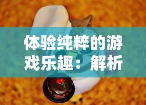 探究知名游戏角色菜鸟小忍者改名背后的原因与意义：从玩家反响到行业影响