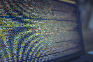 (浮石之力)探索浮石之旅:如何根据个人战斗风格和任务需求选择毒弓技能 (浮石之力)探索浮石之旅:如何根据个人战斗风格和任务需求选择毒弓技能