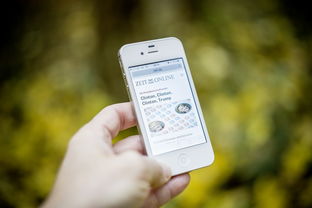 (夺宝神箭游戏攻略)详解夺宝神箭游戏玩法：如何巧妙操控，一箭夺得王冠荣誉