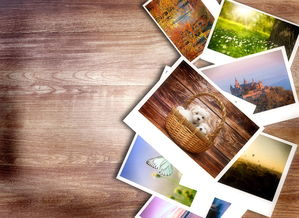 公会会长惊现闲置地牢兑换码,快来参与活动赢取珍贵奖励! 公会会长惊现闲置地牢兑换码,快来参与活动赢取珍贵奖励!