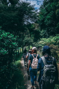 白小姐报码开奖结果|自然之美与心灵之旅_Deice.7.278