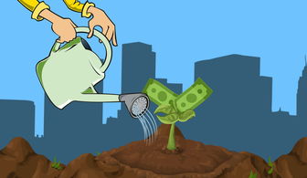 (皇后成长计划 钱万三)深入解析皇后成长计划攻略:揭秘钱万三的成功之路与策略分享 (皇后成长计划 钱万三)深入解析皇后成长计划攻略:揭秘钱万三的成功之路与策略分享