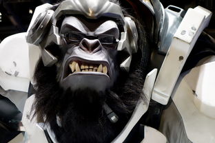 详解超赞战斗游戏角色黑崎一护SSR的升级之路:攻略心得,分享将SSR升至UR的必备秘诀 详解超赞战斗游戏角色黑崎一护SSR的升级之路:攻略心得,分享将SSR升至UR的必备秘诀