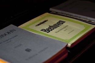 (小白不言弃内购破解版h5)小白不言弃激活码：新手克服使用难题的秘诀与方法