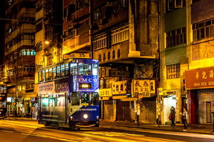 (北京杨志)杨志副书记率队深入密云调研，探寻基层治理之道