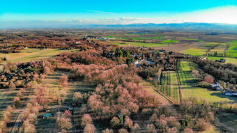 深入探讨夺旗大乱斗活动中的奖励机制,究竟与盐场奖励有何相似之处? 深入探讨夺旗大乱斗活动中的奖励机制,究竟与盐场奖励有何相似之处?