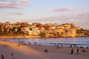 2024新澳正版资料大全旅游团|探索城市中的隐藏美景_发行款.5.606