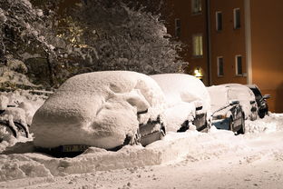 (coldsnow 冷雪)探秘神秘冰雪之地的极度深寒下，冷狐攻略必备技巧和心得分享