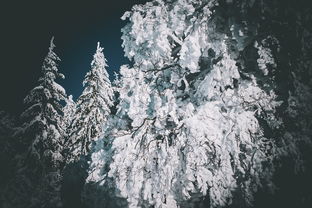 (神奇动物2百度云资源链接)神奇动物2电影百度网盘：全高清资源分享，让您畅快欣赏