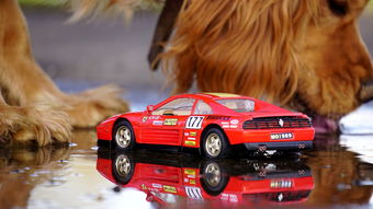 (基因猎人为什么停更了)探讨基因猎人漫画作者不更新背后的原因及对粉丝的影响 (基因猎人为什么停更了)探讨基因猎人漫画作者不更新背后的原因及对粉丝的影响