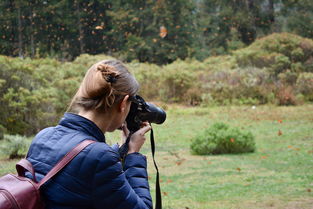 (二年级手帐本怎么写)如何在二年级利用手账本提升作文水平与创意思维 (二年级手帐本怎么写)如何在二年级利用手账本提升作文水平与创意思维