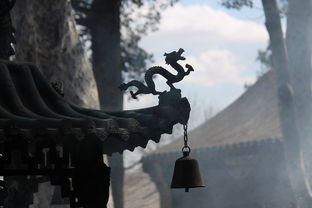 (道修门派日常)我的门派道阴谷沦为邪修之地,内情究竟是如何演变为此? (道修门派日常)我的门派道阴谷沦为邪修之地,内情究竟是如何演变为此?