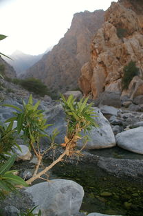 (锦绣山河风景)锦绣山河:充满美丽而壮丽的山脉和河流的景观 (锦绣山河风景)锦绣山河:充满美丽而壮丽的山脉和河流的景观